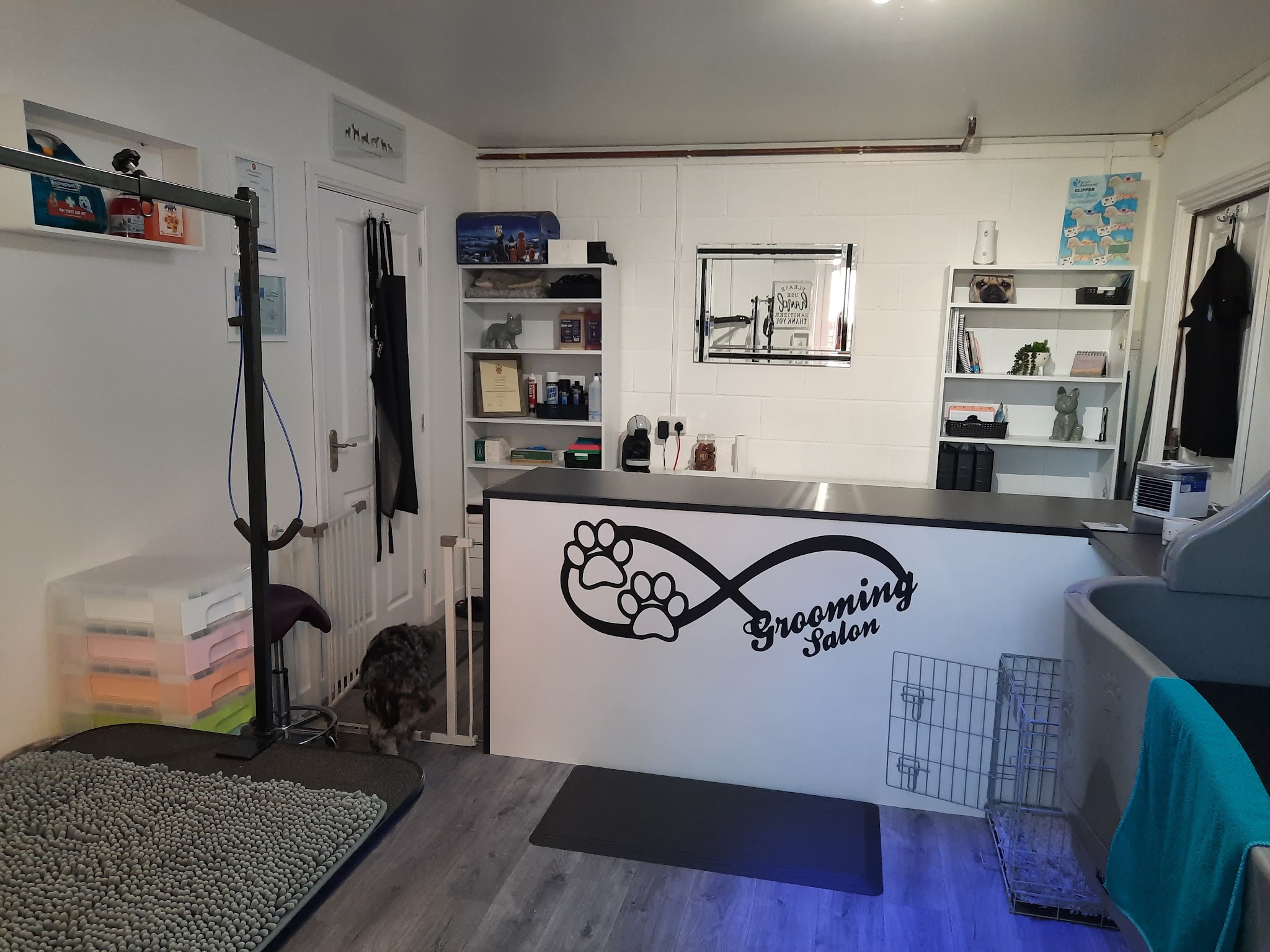 Inside the Coastal K9 Cuts salon: the grooming table, paw print desk and shelves of products